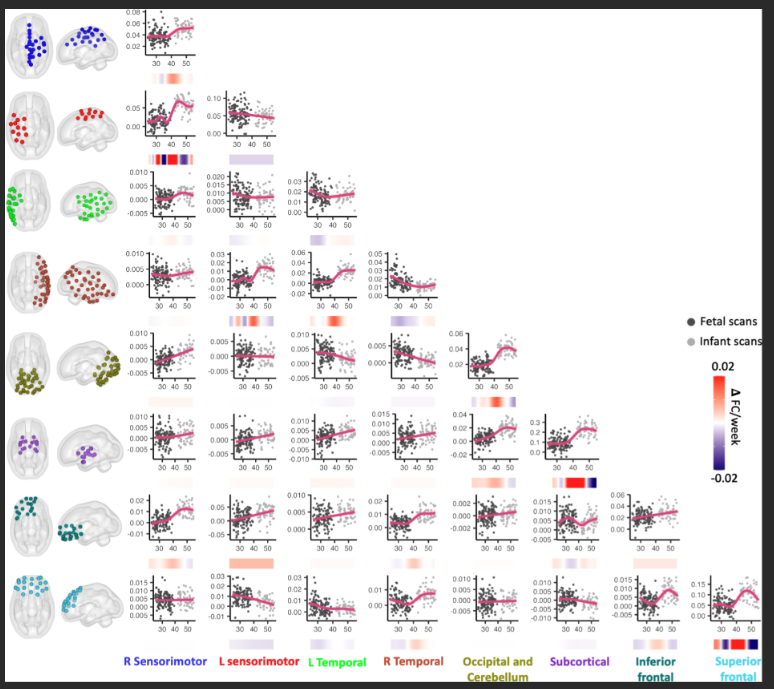 Trajectories of human brain functional connectome maturation across the birth transition | PLOS Biology journals.plos.org/plosbiology/ar…