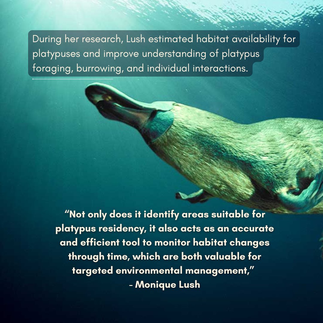 🎉 Congratulations to Monique Lush, winner of the 2024 Peter Fairweather Student Conference Travel Award! Monique will use the award to attend ESA2024 in Melbourne this December. We can’t wait to hear more about her work! 🌱 tinyurl.com/ye28b4vj

#ESAus2024 #Platypus