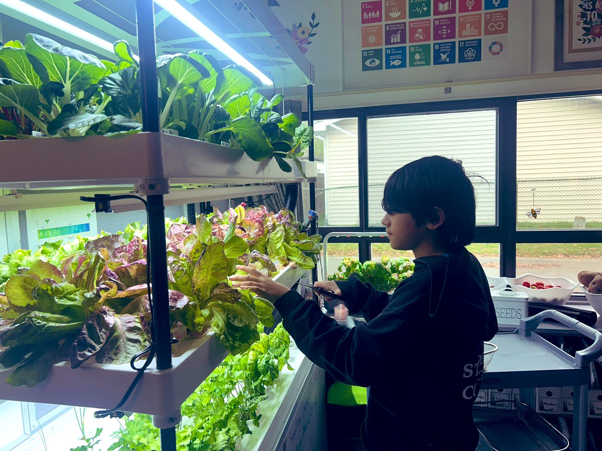 Rochelle Tkach 🌱 tweet media