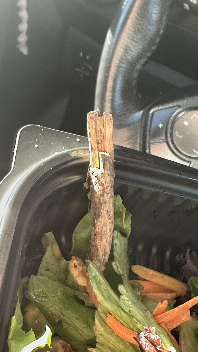 mattydesigns760's tweet photo. @JackBox got this in my salad in riverside California!! How does that happen? #bebetter https://t.co/pQYVOZqqj9