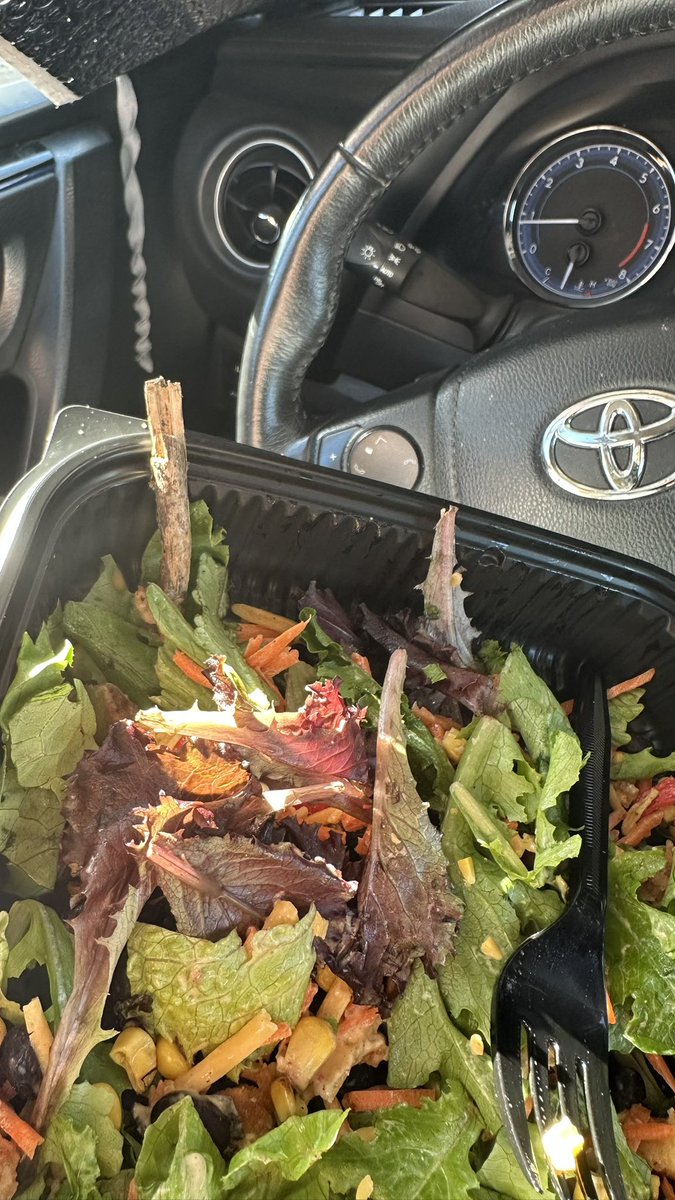 mattydesigns760's tweet photo. @JackBox got this in my salad in riverside California!! How does that happen? #bebetter https://t.co/pQYVOZqqj9