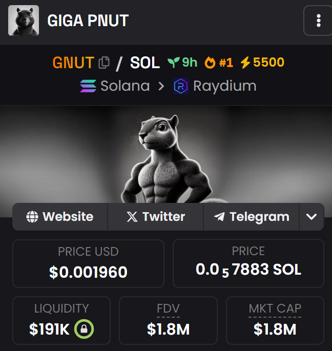 GIGA PNUT tweet media