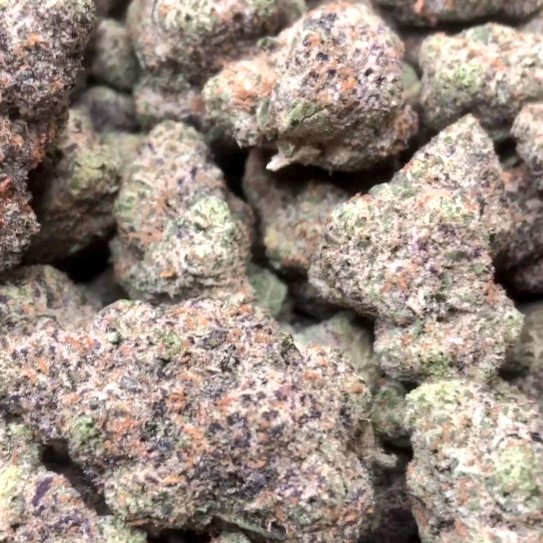 TERP_THCA's tweet photo. 🚨New Strain Drop🚨

Hawaiian Snow Sativa 29.1% 
Here's a link to a new small batch strain drop. 

Available in qp size to 1lb size
$750 4Oz
$1,300 8Oz
$2,200 1 Lb

Sign up for 15% promo code that's only $1,870 a LB 

#PremiumFlower #danktrees #topshelfcannabis #gasterps #smallbatch #craftcannabis #grownwithcare #frostynug #nugporn
#Mmemberville #StonerFam #Hemp #THCA #cannabisculture #Cannabiscommunity #weedsmokers #WeedLovers #420Everyday #Cannabisproducts #stoners #miami #weedlife #smokesesh #weed 

https://t.co/XfwctIUCQQ…