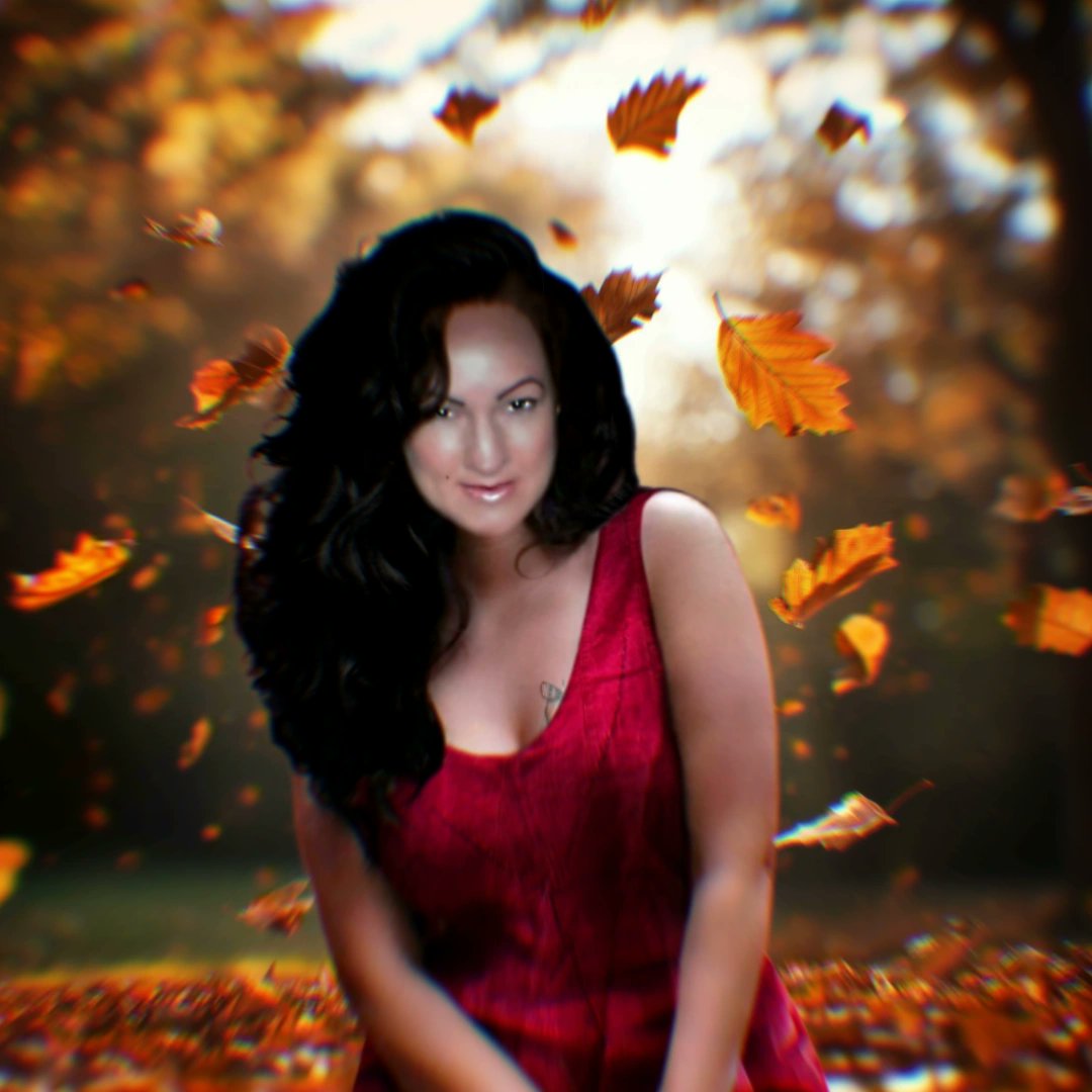 Fall 🍁🍁🍁