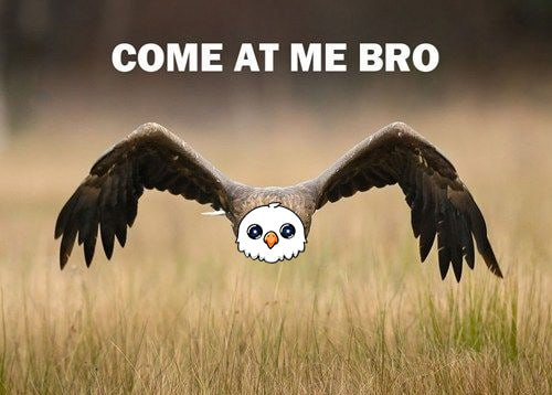 EAGWULL's tweet photo. $EWULL has some bullish bold moves!

TG:  https://t.co/jNl4rSHmkc

CA: 4F2tVHnY7A6chc8wPwhuNhn8ETF6K8qaeVkf51Ampump

WEB:  https://t.co/lEh48AOtsa

Dex: https://t.co/H5lLGo1opc https://t.co/fJhFSA5zhN