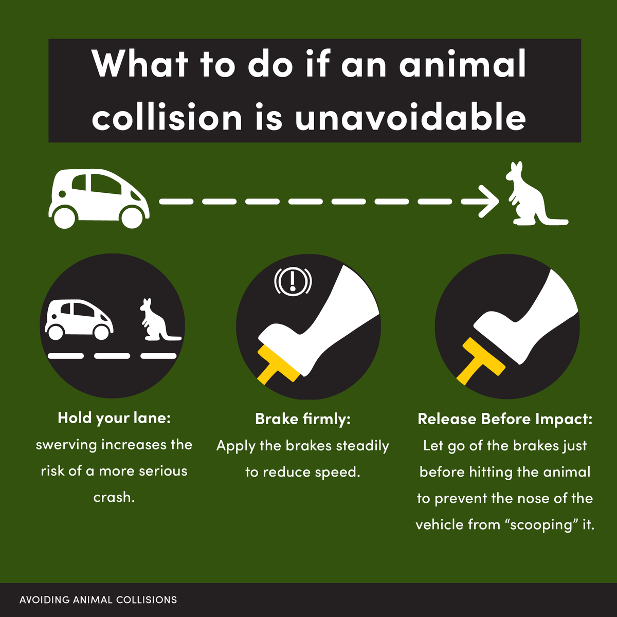 NRSPPaus's tweet photo. Each year, millions of animals are involved in road collisions across Australia. Slow down, stay alert, and take extra care in rural and wildlife-prone areas.

Read the Quick fact on our website below
https://t.co/4Qasn5CBsB https://t.co/OBisp1Ruf9
