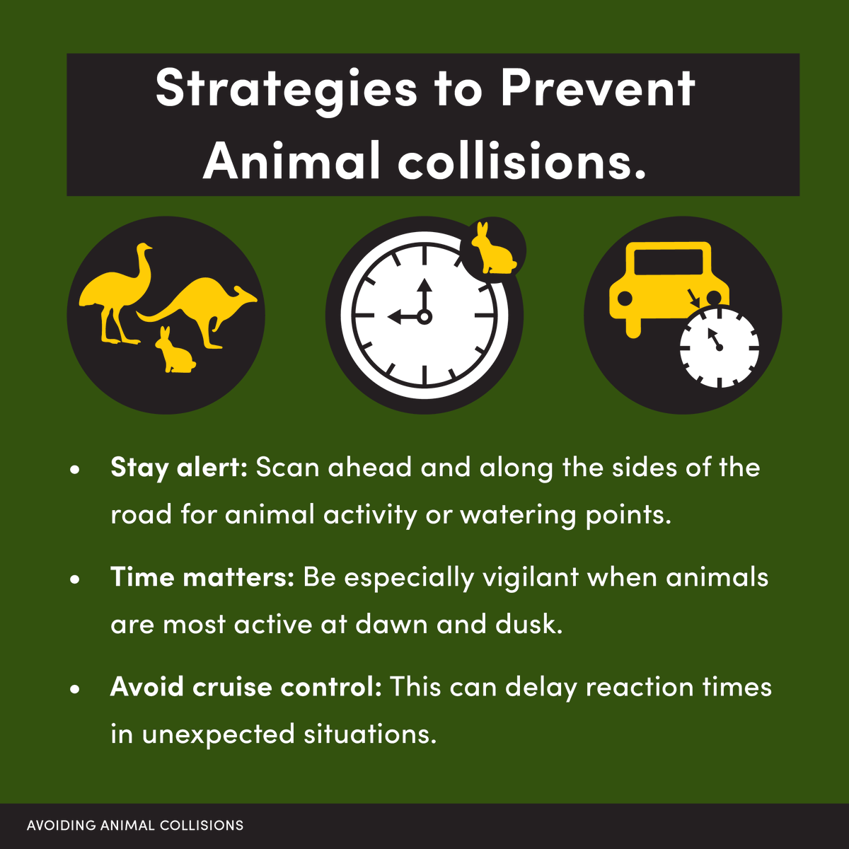 NRSPPaus's tweet photo. Each year, millions of animals are involved in road collisions across Australia. Slow down, stay alert, and take extra care in rural and wildlife-prone areas.

Read the Quick fact on our website below
https://t.co/4Qasn5CBsB https://t.co/OBisp1Ruf9