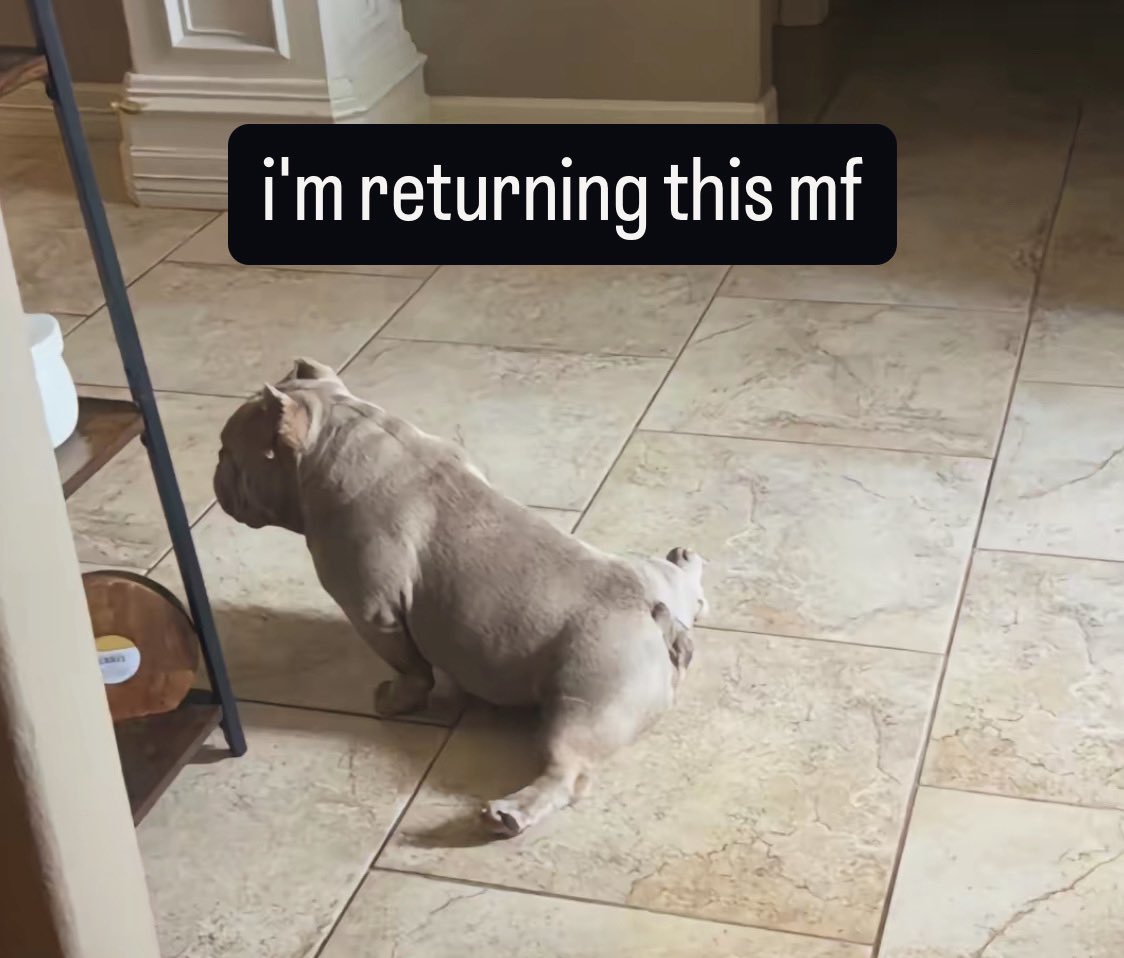 mor (@moristiko) on Twitter photo 