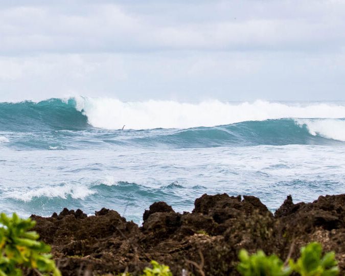 HawaiiHTA's tweet photo. HTA is proud to partner with WSL to showcase the talent in the Hawaiian Islands – surfers like Ēweleiʻula Wong and Luke Tema who just won the Sunset Pro. We can’t wait to celebrate the Haleʻiwa Pro at Kawailoa! #HICPro #Haleiwa #WSL #PoweredByHTA https://t.co/xU9GjZLPRg