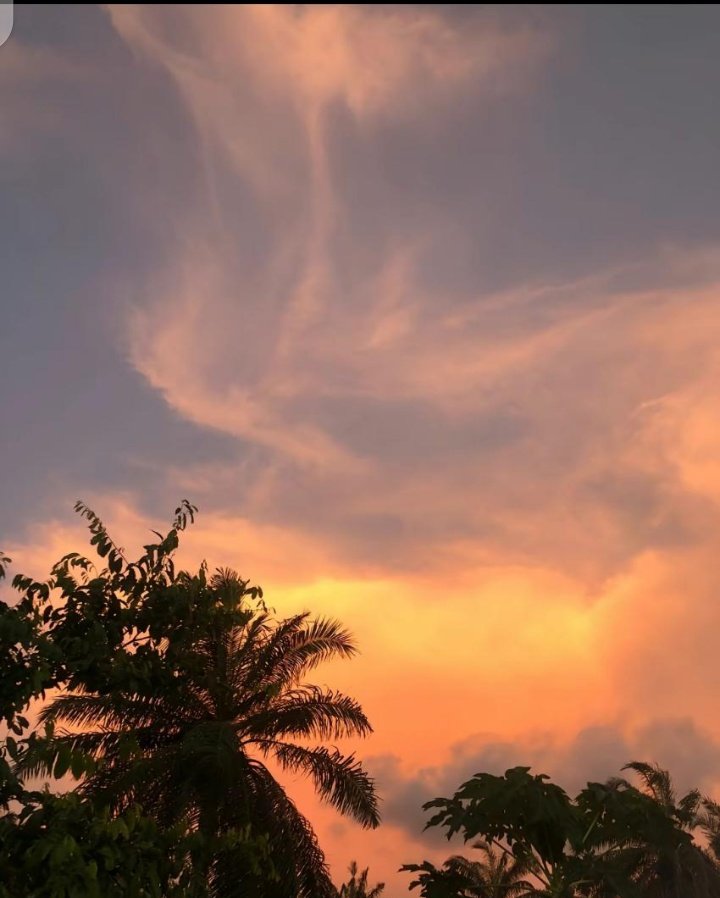 LeeWaggo's tweet image. We will dance Kese till nightfall