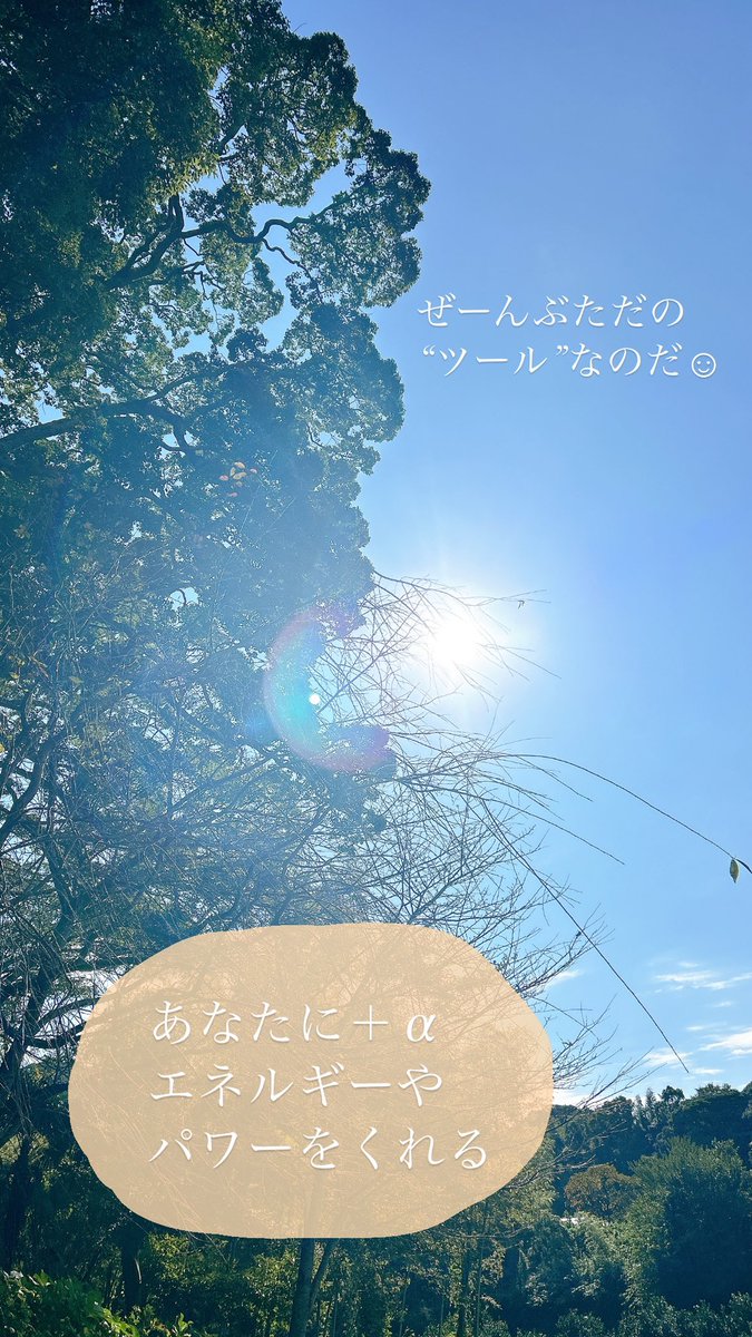 すべては道具でしかない
あなたを飛躍させるための
単なる“ツール”でしかない
 
ツールを手にいれて
目の前にそれを置いて
 
「さぁ！私をしあわせにして！」
 
って座ってても
ツールは動かないです
 
あなたが動かすの
あなたが使うの
  
拡大繁栄する人は
ツールを使うのが上手☆
 
#読書タイム