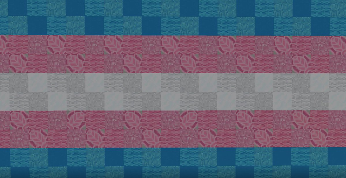 From both trans admins of the SMP- Happy Trans Day of Remembrance. We're so grateful to all our trans members.💙🩶🩷 Thank you for being part of our community.