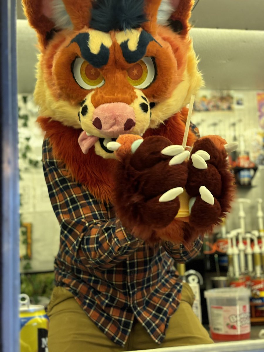 DBorn008's tweet photo. It’s soda o’ clock at the fizzy fox soda shop 🥤 https://t.co/0PC56XDlbd