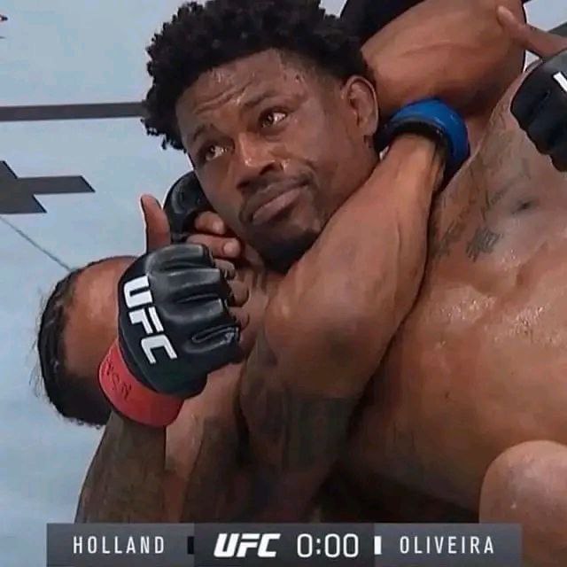 Kyle 🦁 tweet media