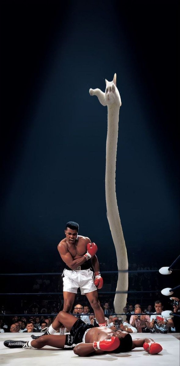 LongCat CTO tweet media