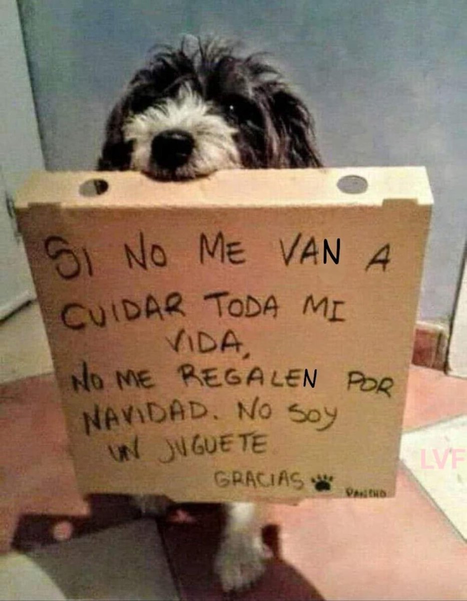 mayumiguillen's tweet image. Por favor 🙏🏼