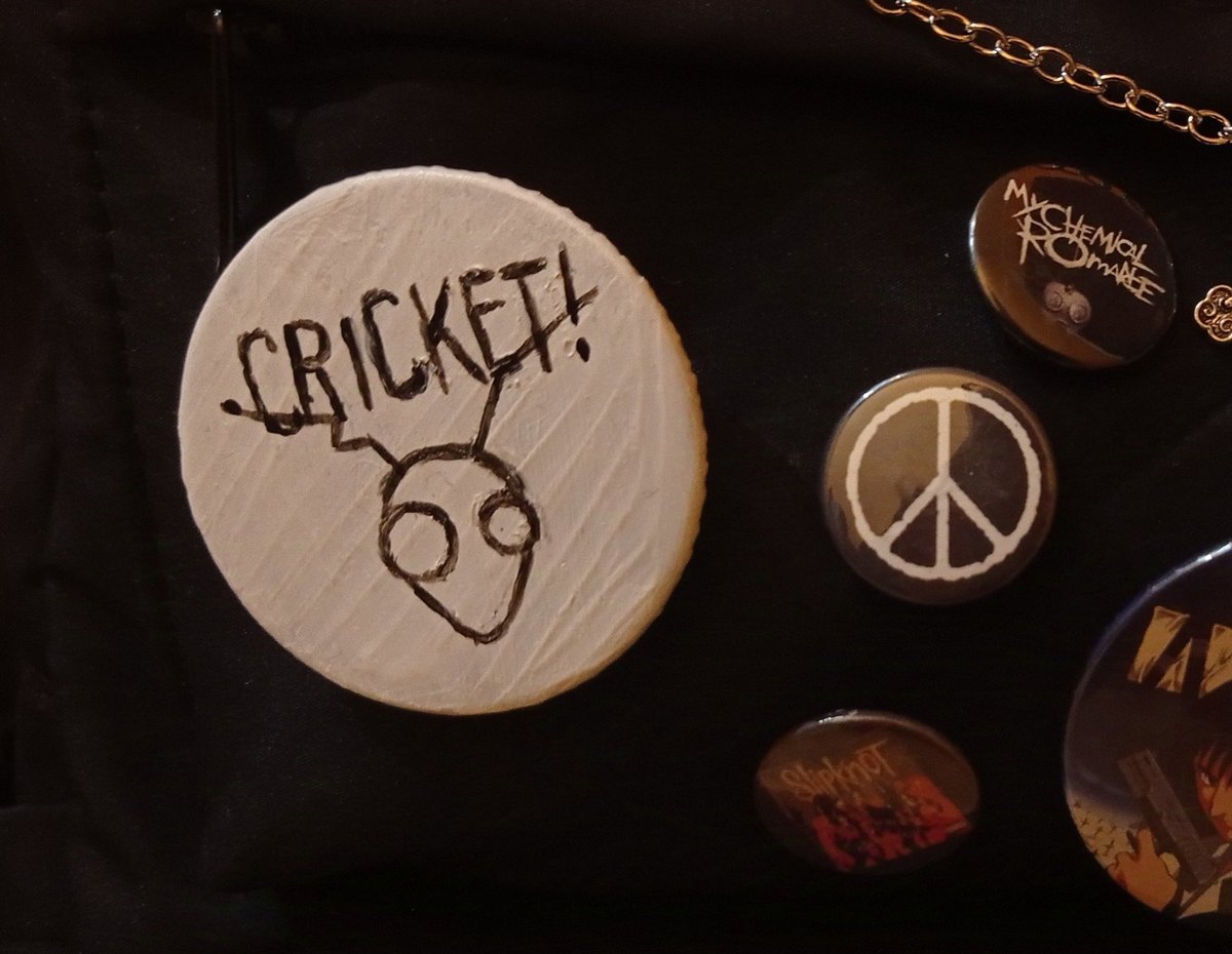 Vester_x1's tweet photo. I'm gonna use this as an excuse to finally say thank you. Thank you for helping me through rough times with your music, mr Cricket @CricketTheGuy https://t.co/mhIneJOpNG