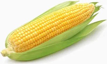 yo si fuera un maiz