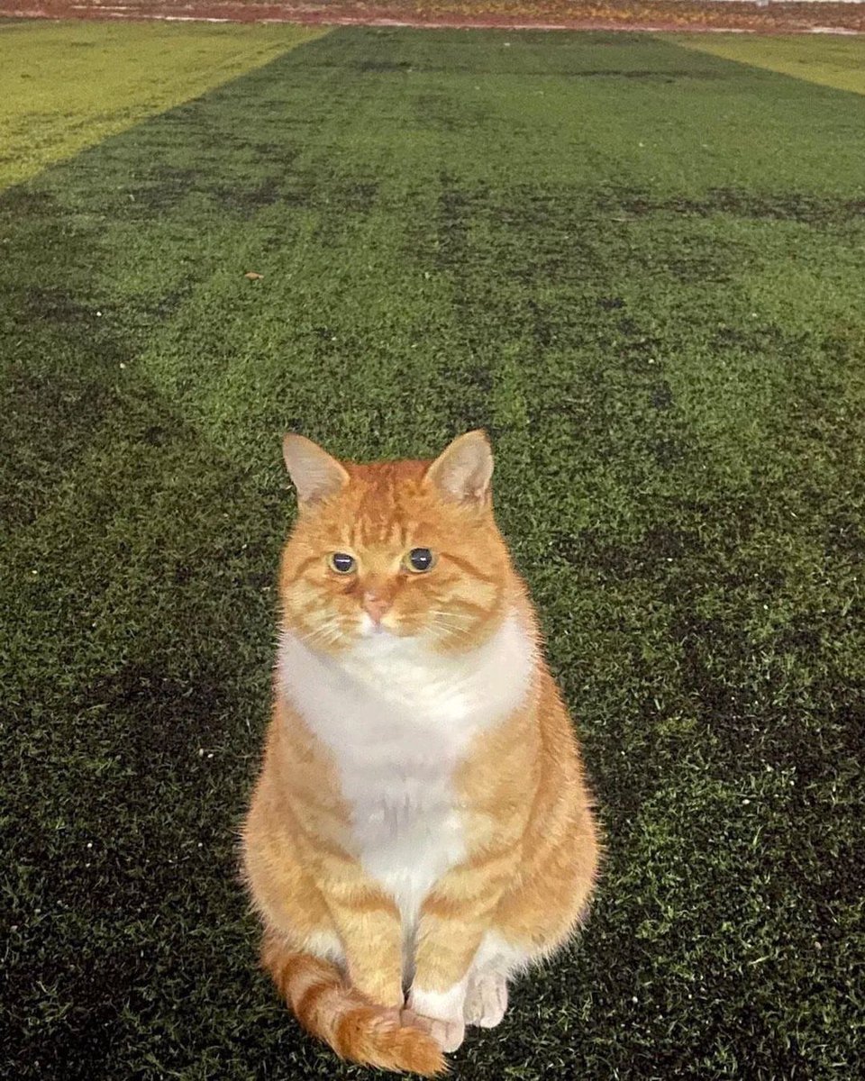 look at this gentleman