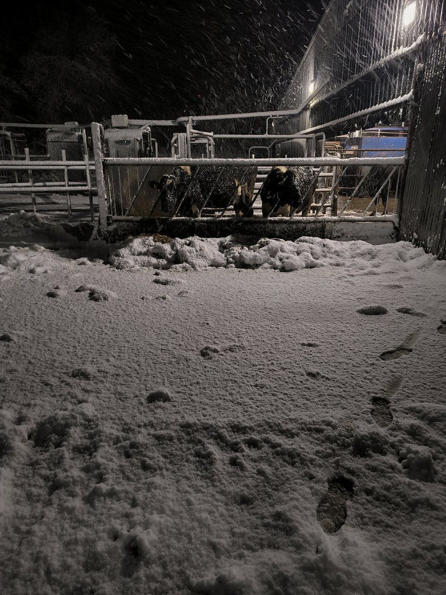 Gareth Duggan tweet media