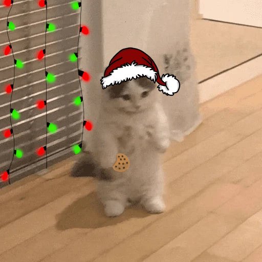 D1stortedArt's tweet photo. is @michionsolana ready for christmas $michi 😺 https://t.co/0bPoLvhnvc