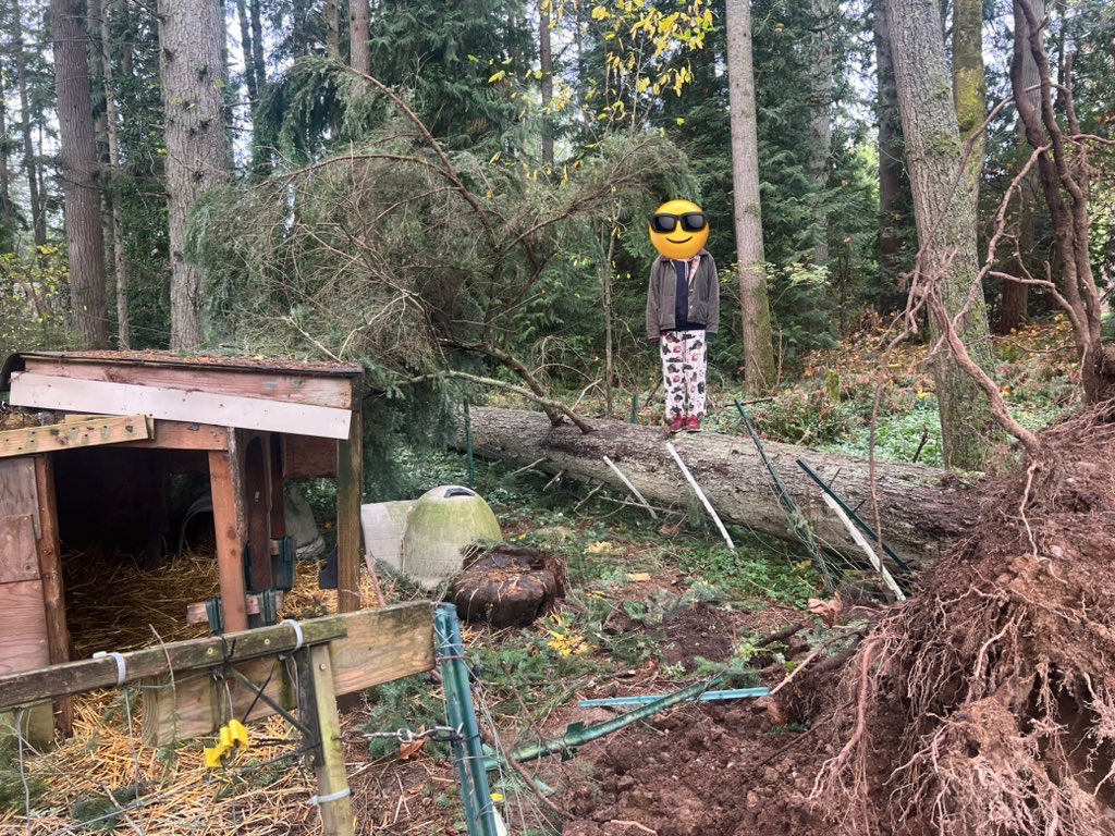 Serellan's tweet photo. #wawx #seattlepoweroutage #BombCyclone https://t.co/o7LxtjHRWv