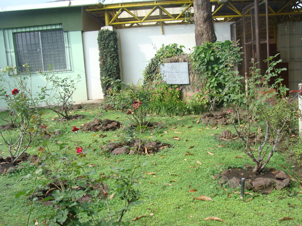 LuisCarlos's tweet image. Edmundo González fue parte de la embajada de Venezuela en El Salvador de 1981 a 1983.
Leopoldo Castillo fue embajador allí entre 1981 y 1983.

La masacre de los jesuitas mártires en la UCA ocurrió el 16 de noviembre de 1989.

El chavismo miente cuando los vincula con esos hechos