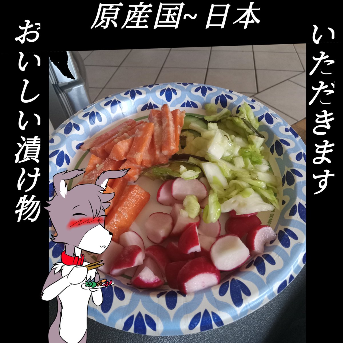 Usagi260749's tweet photo. If you guys ever had tsukemono it's pickled vegetables made the Japanese food culture. [Bonnie Wolf-Rabbit inu-san]: mmmhh! Just like my mother used to make when I was a little puppy-rabbit. #picture #visual #Japanese #wolfrabbit #hiragana #katagana #kanji #salad https://t.co/THgq3O5gFu