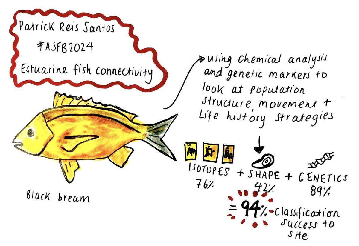 Excellent story of using chemical markers and genetics to track fish connectivity in estuarine fish from Patrick Reis Santos 🐟 #ASFB2024

<a href="/AustSocFishBiol/">ASFB</a> 

Using some of <a href="/KSarakinis/">Koster Sarakinis</a> PhD data!