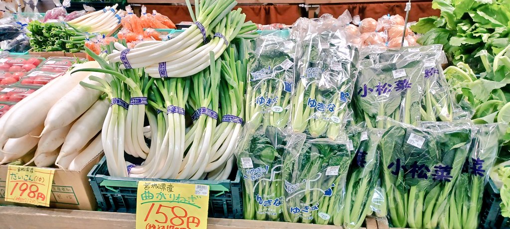 wakuwakuseikabu's tweet photo. #わくわく広場青果部 
 #ザ・モール仙台長町 
本日おすすめ‼️
 #お野菜 コーナー✨
宮城県産の栄養たっぷり
美味しい #地元野菜 が
どっさり入荷しました‼️😋
 #キャベツ に #白菜  、#曲がりねぎ
など見どころたくさん✨🤗
ぜひチェックしに来てください😉
ご来店お待ちしております😊😊 https://t.co/brwO3jwak2