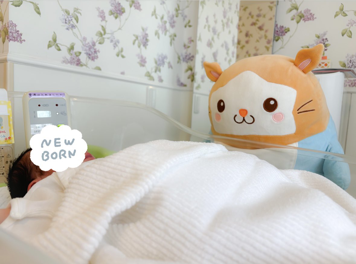 ぼく、みておくね🐹🍼👀ｼﾞｯ