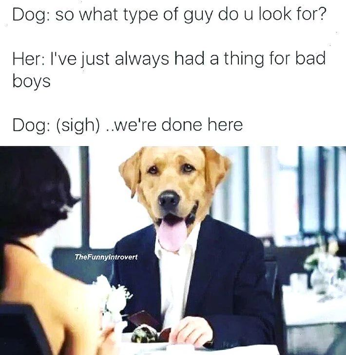 WholesomeMeme's tweet image. 