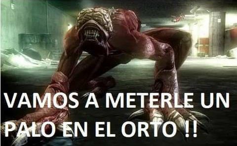 forbizeraa's tweet image. 