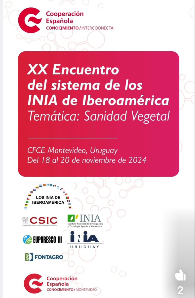 Joaquin Lozano tweet media