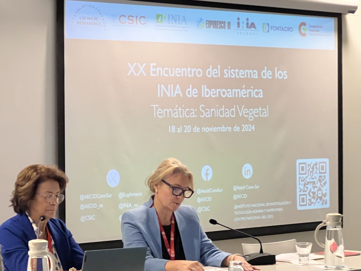 Joaquin Lozano tweet media