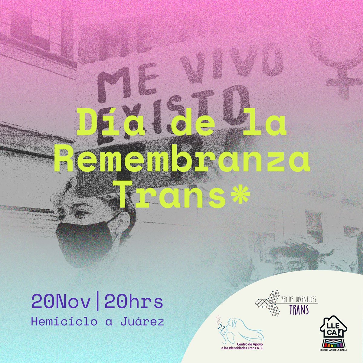 Lu Peláez ⚧️ tweet media