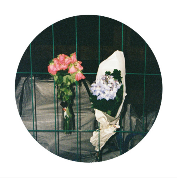 acid stag tweet media