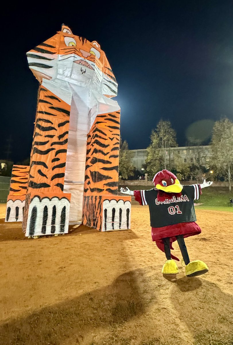 University of South Carolina tweet media