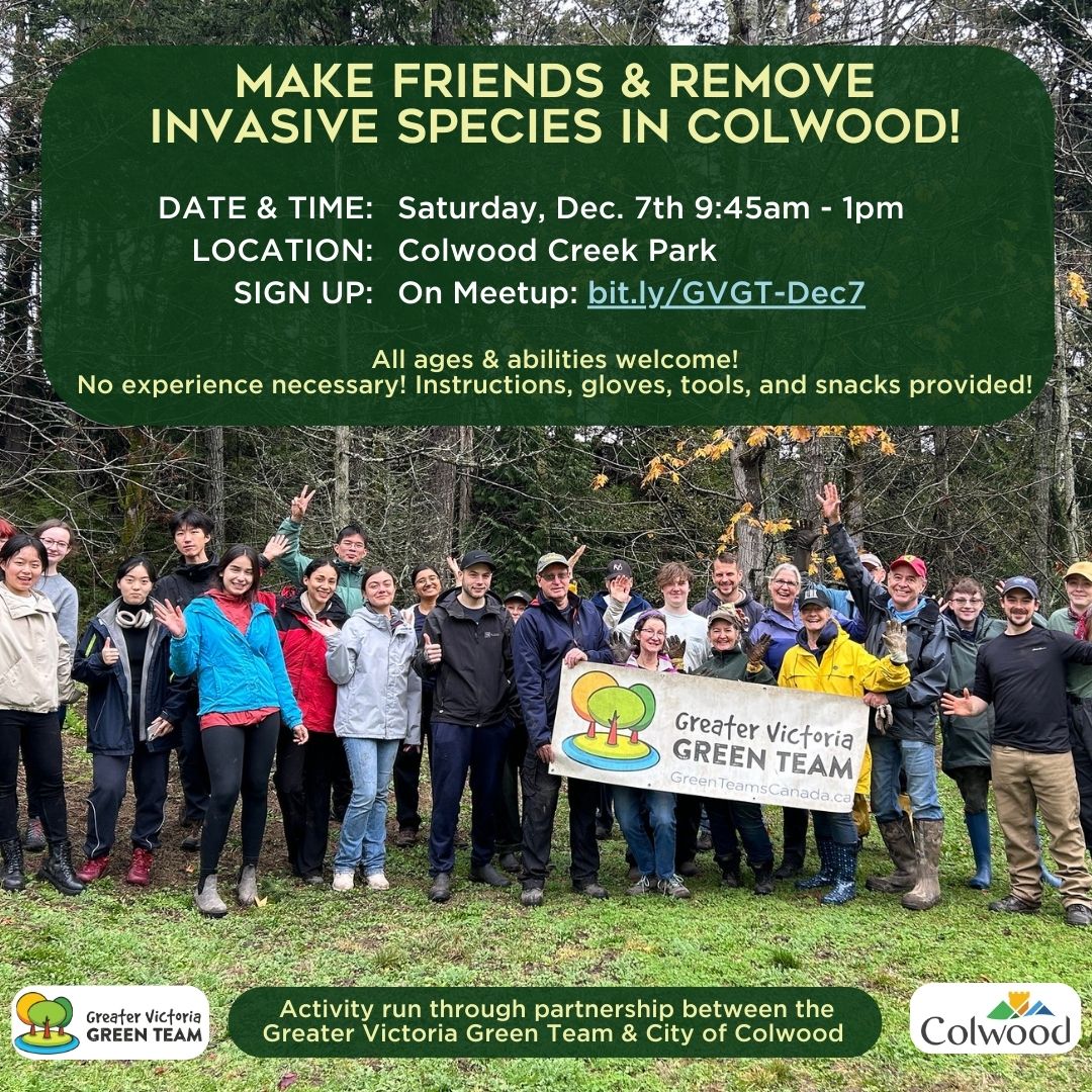 Announcing our last activity of 2024! 
Join us in Colwood Creek Park on Sat. Dec. 7th 9:45am-1pm
Details &amp; Sign up: bit.ly/GVGT-Dec7 
Thank you <a href="/cityofcolwood/">City of Colwood</a> for making this activity possible 
#ColwoodBC #Volunteer #InvasiveSpecies #HabitatRestoration #Westshore