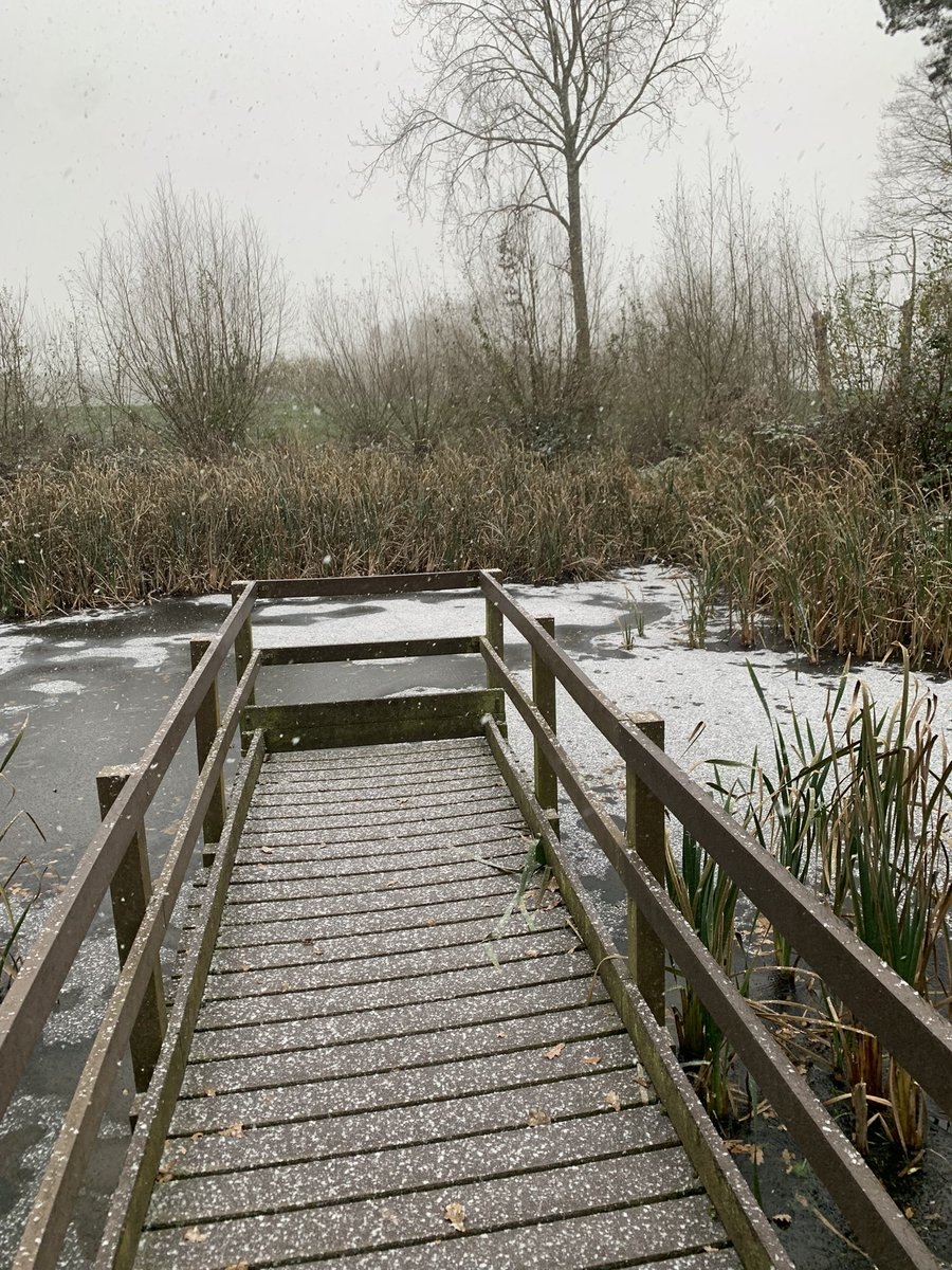 Mboyd7Boyd's tweet photo. Had a school group at work @tophilllow today……extreme pond dipping….well lots to talk about at least! https://t.co/Fb5CZFUi4w