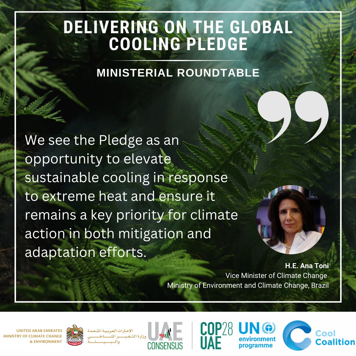 Cool Coalition tweet media