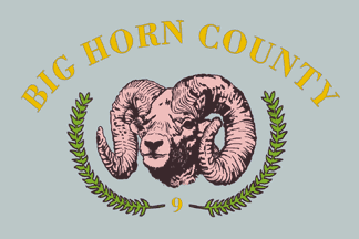 The flag of Big Horn County, Wyoming, has a light blue background with a yellow text of the county's name on top, in the center is an image of a big horn buffalo with two green wreaths, at the bottom is the county number, 9.