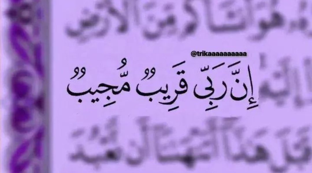 aihmadeabd70780's tweet image. رســـالـه لك: 🕊