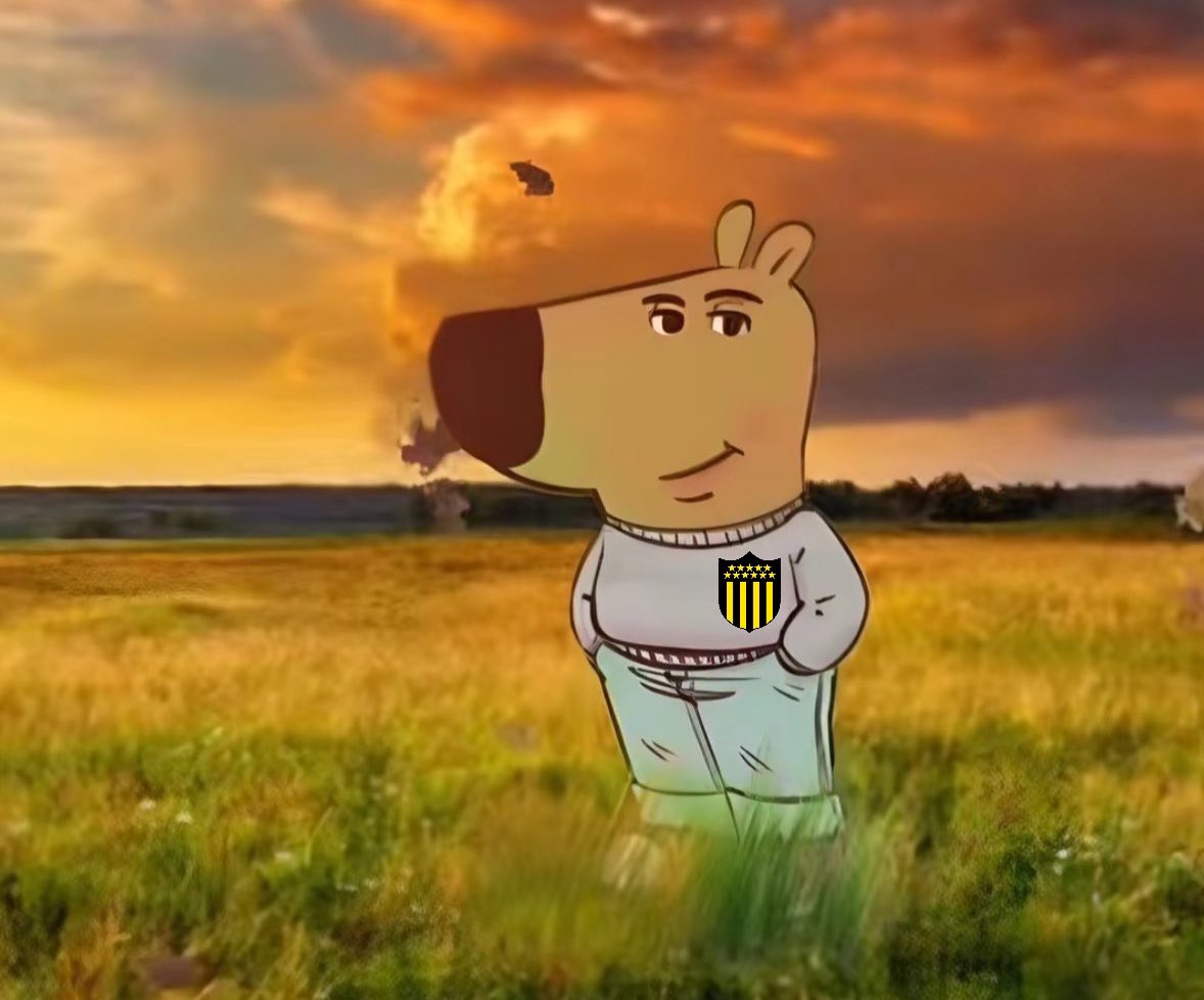 La vida cuando sos hincha de Peñarol.