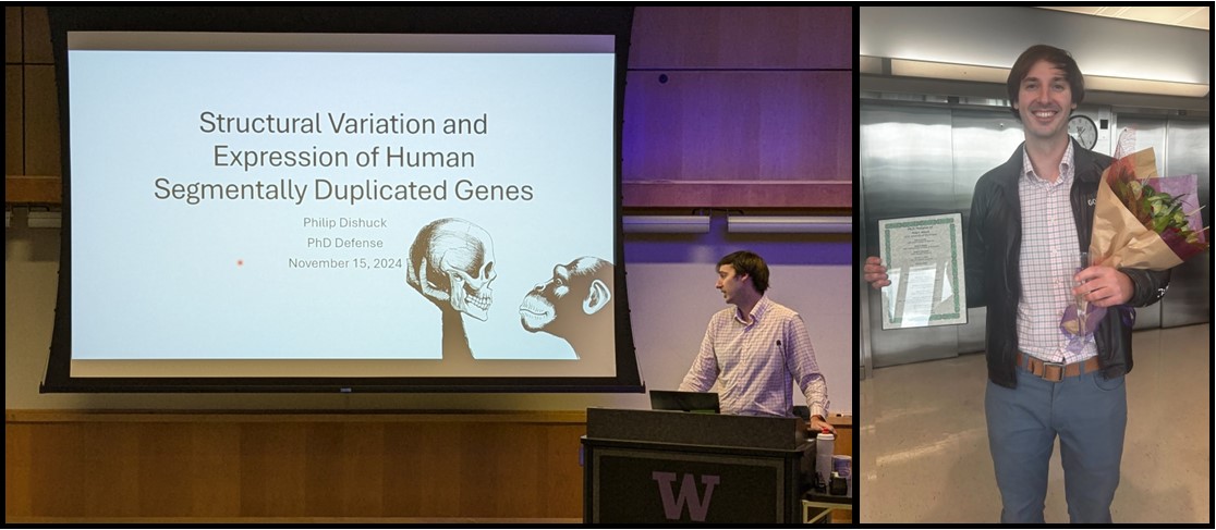 EichlerLab (@eichlerlab) on Twitter photo Congrats Dr. Philip Dishuck <a href="/genesofplenty/">Philip Dishuck</a> on your successful "Structural variation and expression of segmentally duplicated human genes" dissertation defense. Your determination and resilience have paid off! To your future success! Cheers!! Congrats Dr. Philip Dishuck <a href="/genesofplenty/">Philip Dishuck</a> on your successful "Structural variation and expression of segmentally duplicated human genes" dissertation defense. Your determination and resilience have paid off! To your future success! Cheers!!