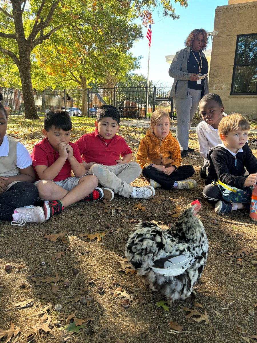 Geneva Heights IB DISD (@genevaheights) on Twitter photo Kinder Cougars <a href="/GenevaHeights/">Geneva Heights IB DISD</a> had a special visitor to complete their Farm Unit ❤️Real world connections are always available at our IB school. Kinder Cougars <a href="/GenevaHeights/">Geneva Heights IB DISD</a> had a special visitor to complete their Farm Unit ❤️Real world connections are always available at our IB school.