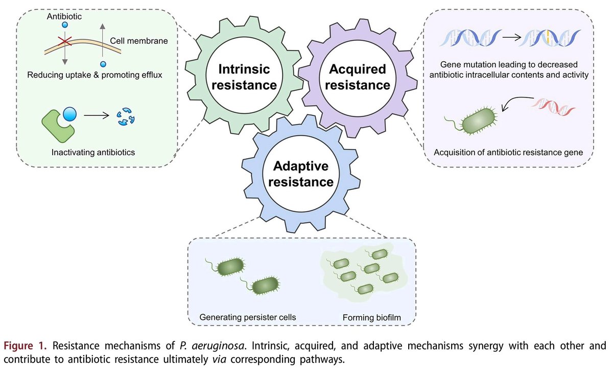 Juan Pablo Sánchez Navarro tweet media