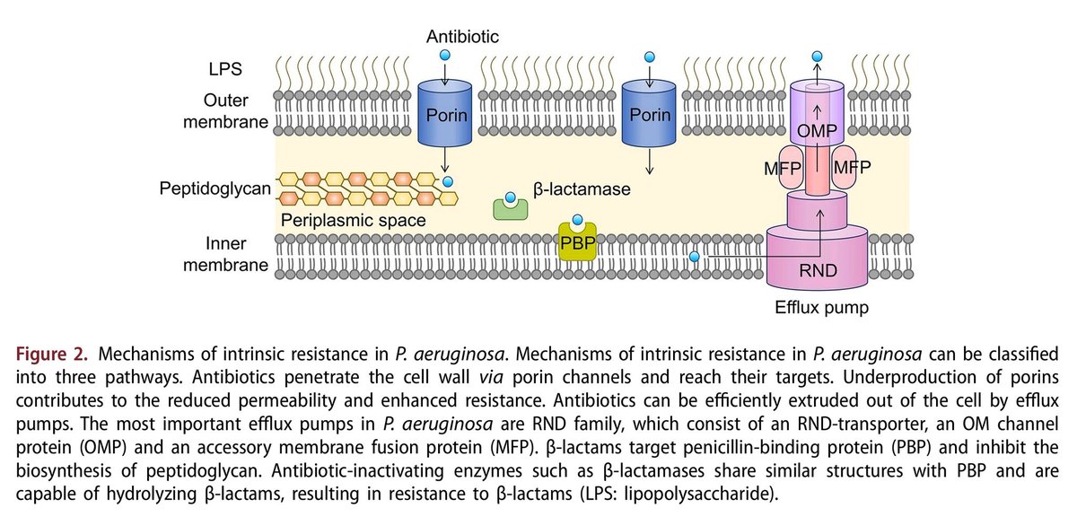 Juan Pablo Sánchez Navarro tweet media