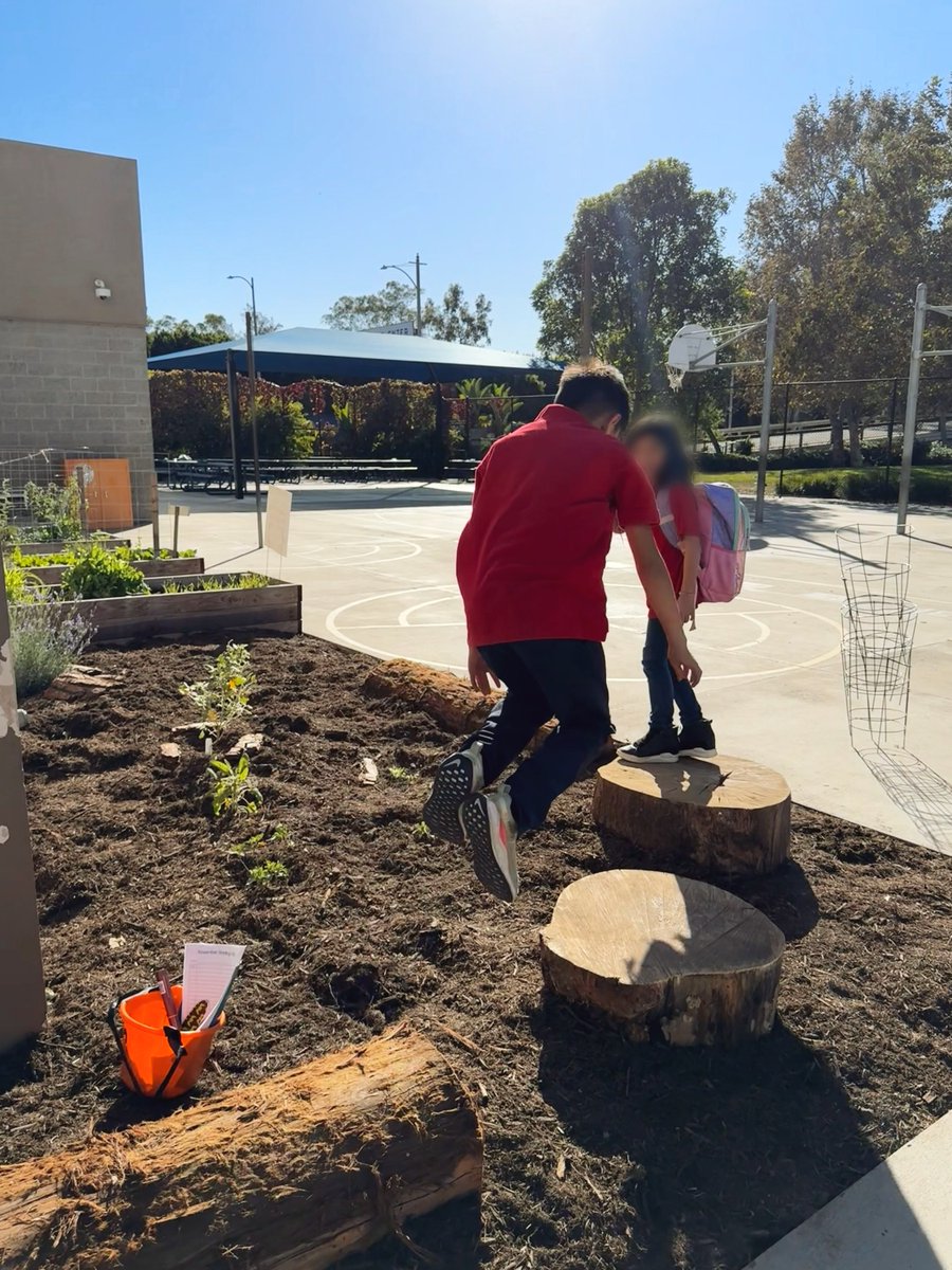 Ground Education tweet media