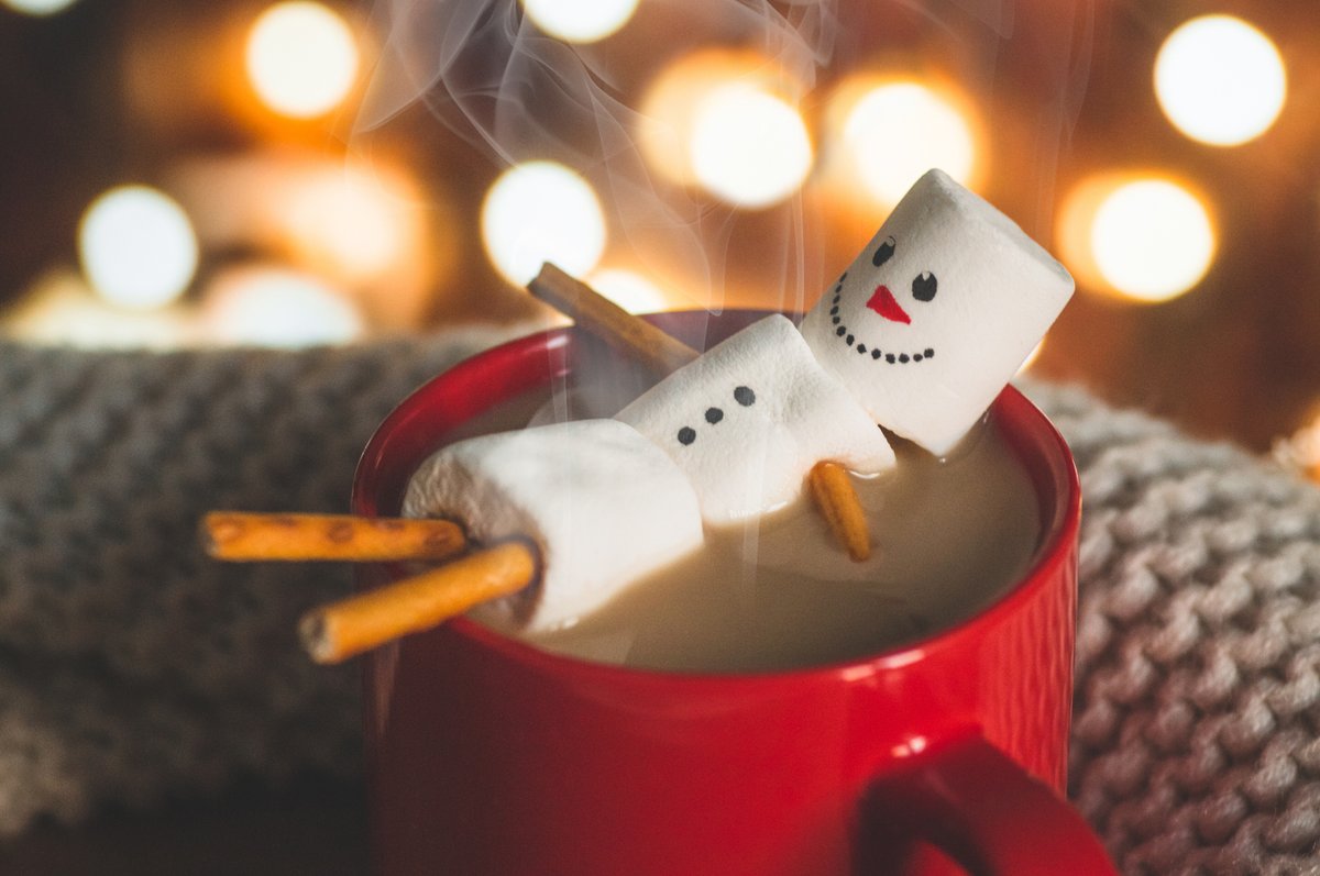 SpCoLibraryDist's tweet image. We have so many fun programs happening in December, like piñata decorating, cooking Mediterranean food, trying out Virtual Reality, and more! Find all the info here: ow.ly/SKSP50Uay0b